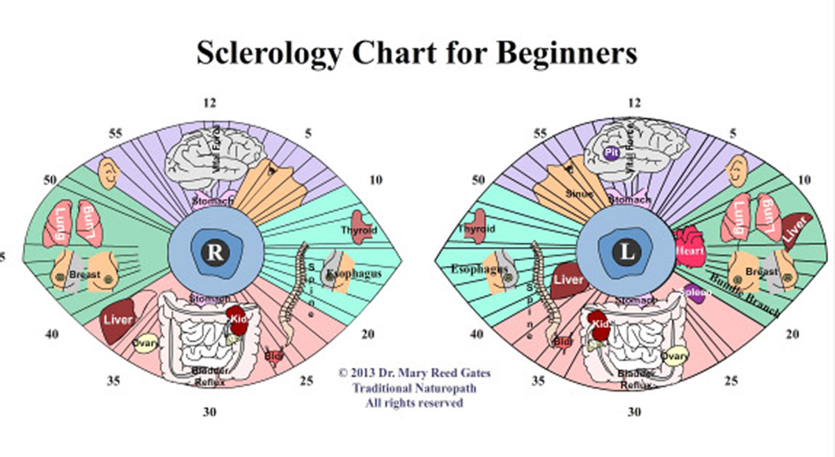My Sclerology Chart