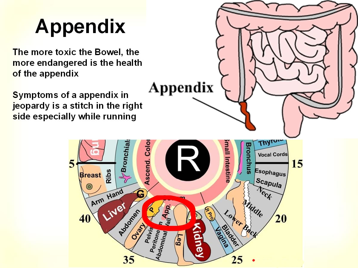 Adrenal-loc